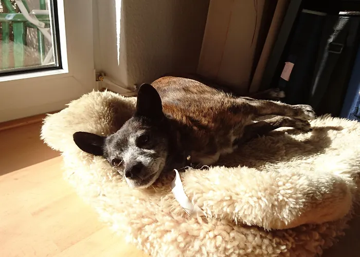 Central Hotel Winnenden Winnenden